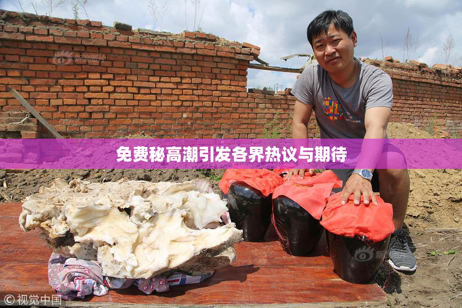 免费秘高潮引发各界热议与期待