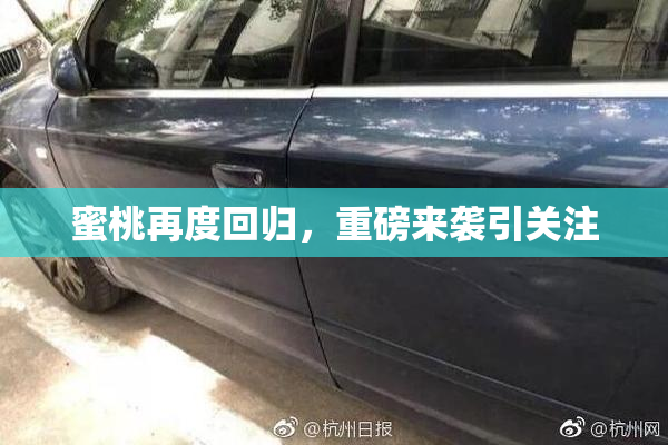 蜜桃再度回归，重磅来袭引关注