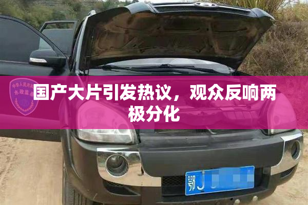 国产大片引发热议，观众反响两极分化