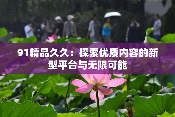 91精品久久：探索优质内容的新型平台与无限可能