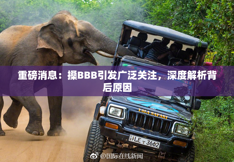 重磅消息：搡BBB引发广泛关注，深度解析背后原因