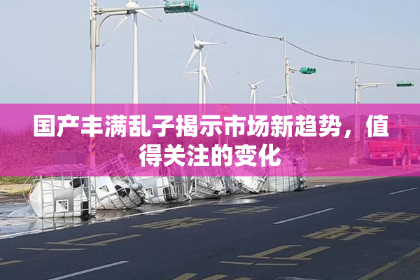 国产丰满乱子揭示市场新趋势，值得关注的变化