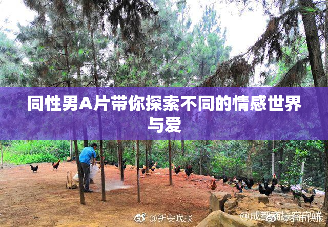 同性男A片带你探索不同的情感世界与爱