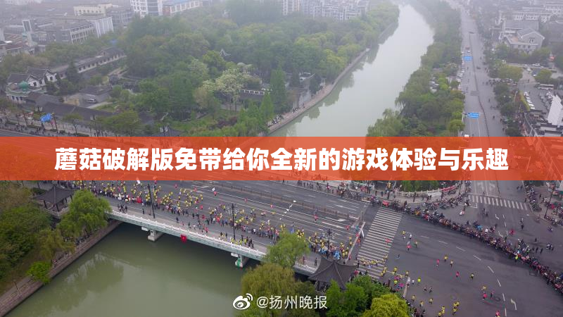 蘑菇破解版免带给你全新的游戏体验与乐趣