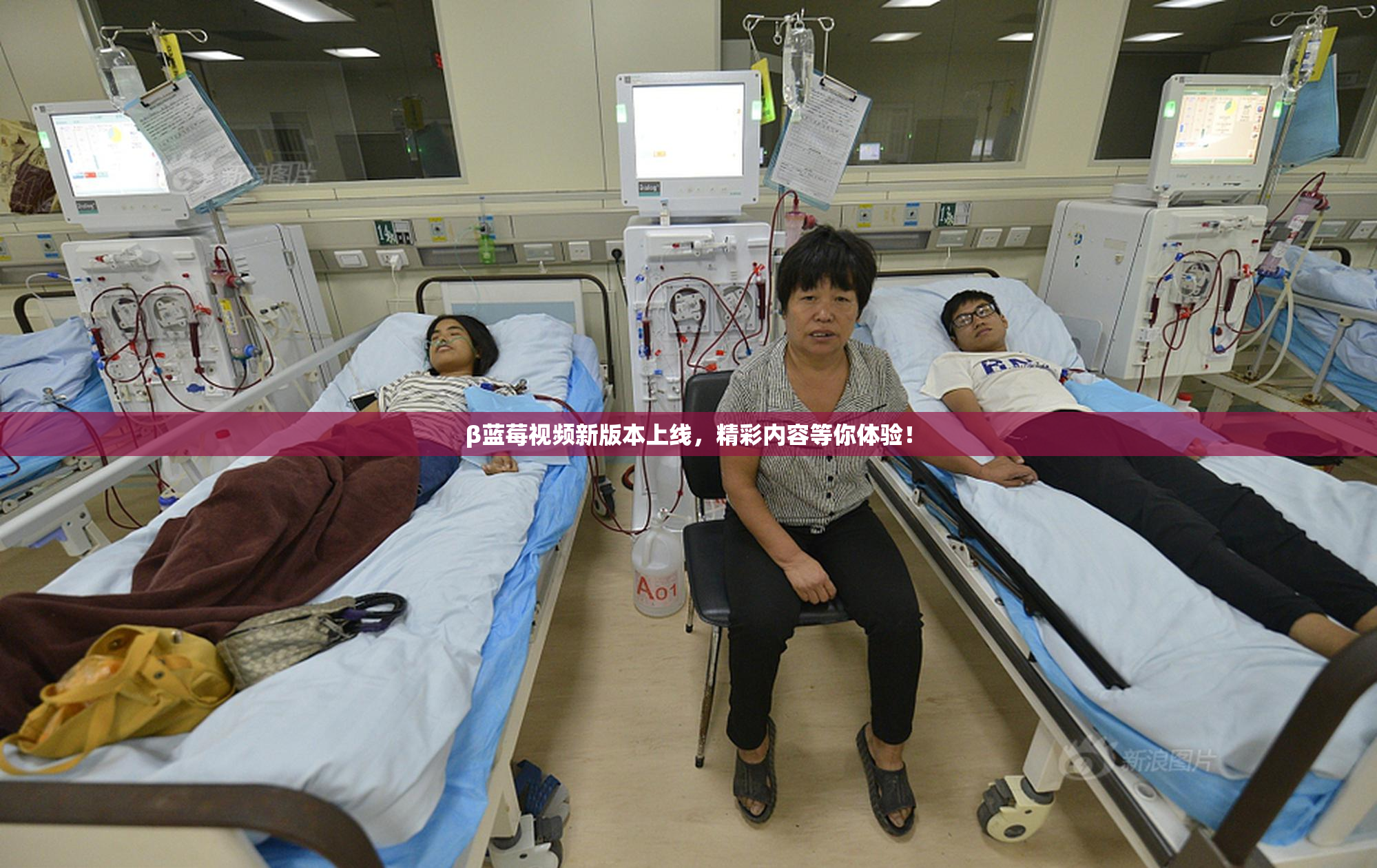 β蓝莓视频新版本上线，精彩内容等你体验！