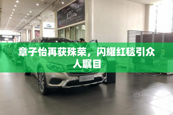 章子怡再获殊荣，闪耀红毯引众人瞩目