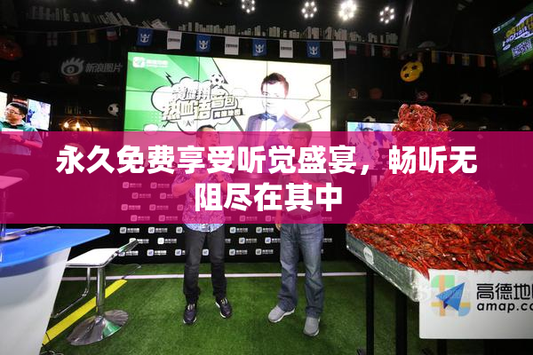永久免费享受听觉盛宴，畅听无阻尽在其中