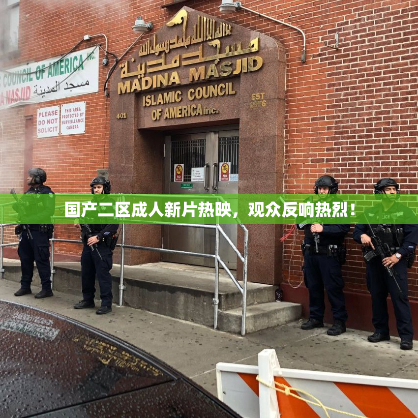 国产二区成人新片热映，观众反响热烈！