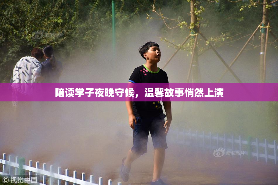 陪读学子夜晚守候，温馨故事悄然上演