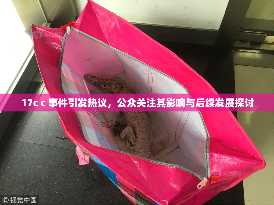 17c c 事件引发热议，公众关注其影响与后续发展探讨