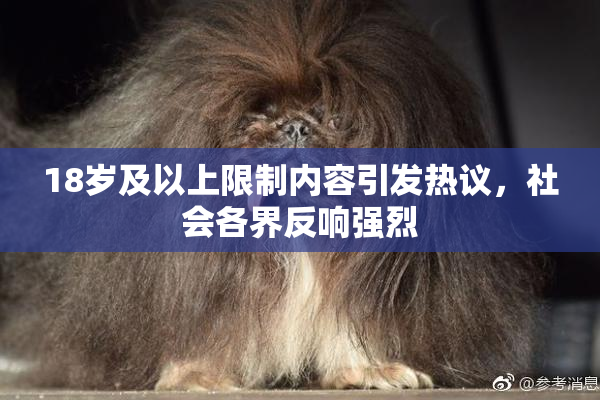 18岁及以上限制内容引发热议，社会各界反响强烈