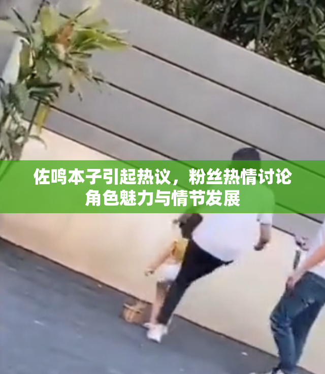 佐鸣本子引起热议，粉丝热情讨论角色魅力与情节发展