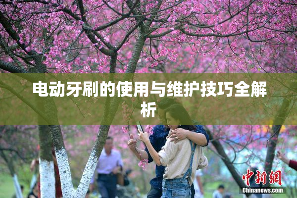 电动牙刷的使用与维护技巧全解析