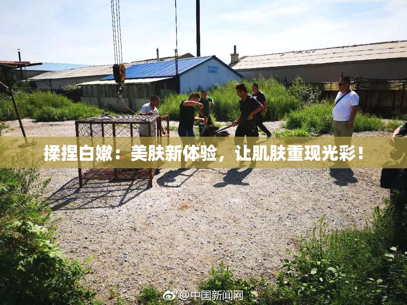 揉捏白嫩：美肤新体验，让肌肤重现光彩！