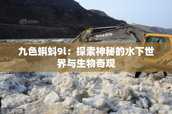 九色蝌蚪9l：探索神秘的水下世界与生物奇观