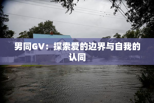 男同GV：探索爱的边界与自我的认同