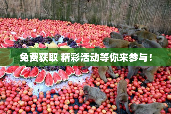 免费获取 精彩活动等你来参与！