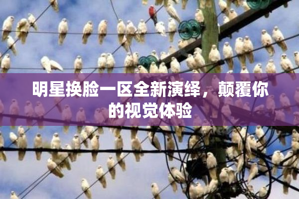 明星换脸一区全新演绎，颠覆你的视觉体验