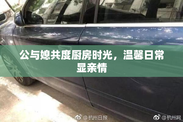 公与媳共度厨房时光，温馨日常显亲情