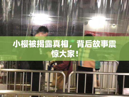 小樱被揭露真相，背后故事震惊大家！