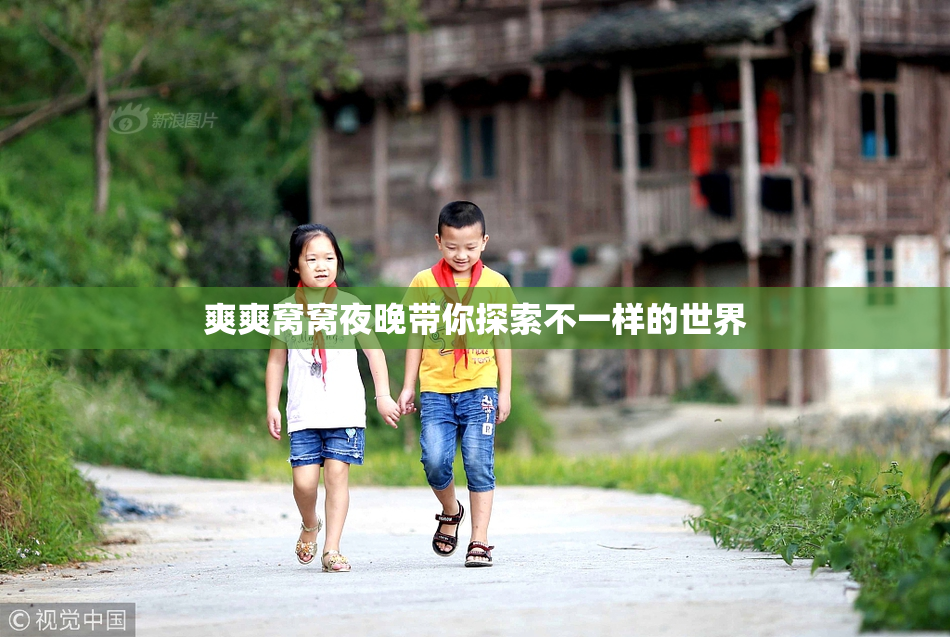 爽爽窝窝夜晚带你探索不一样的世界