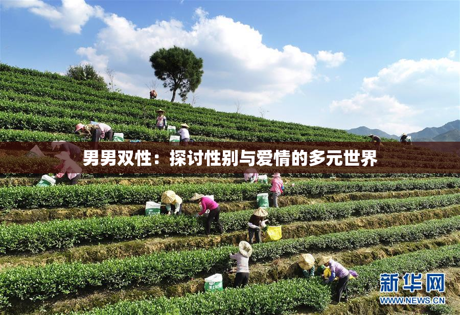 男男双性：探讨性别与爱情的多元世界