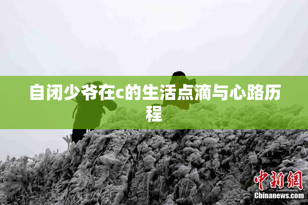 自闭少爷在c的生活点滴与心路历程