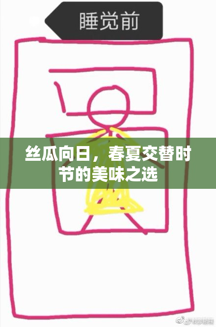 丝瓜向日，春夏交替时节的美味之选