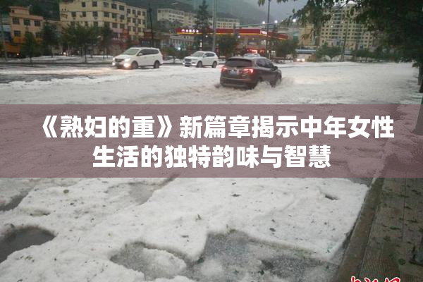 《熟妇的重》新篇章揭示中年女性生活的独特韵味与智慧