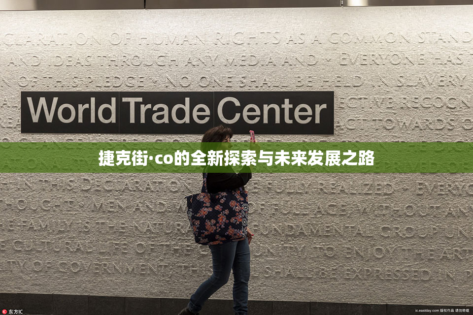 捷克街·co的全新探索与未来发展之路