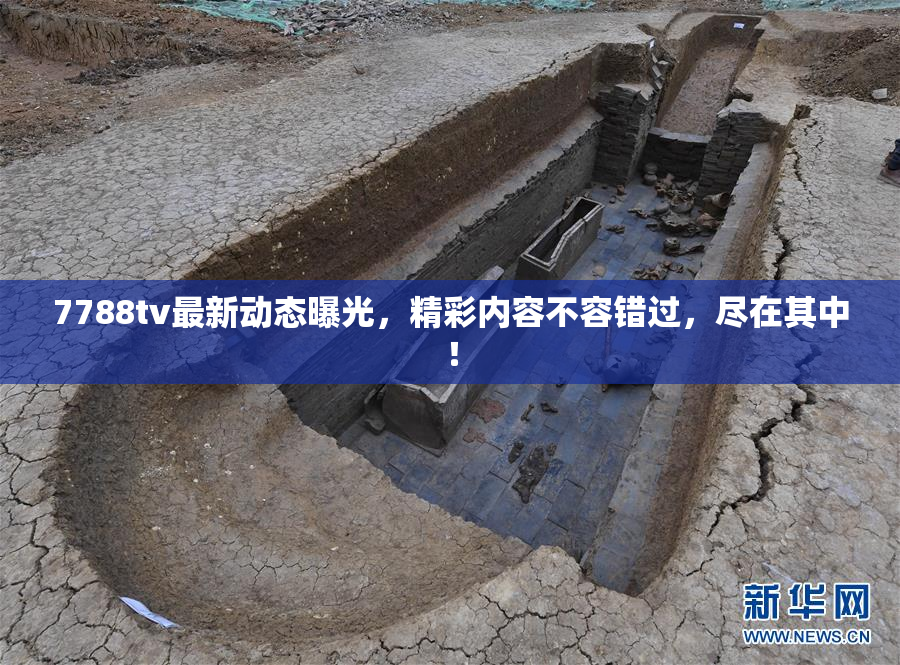 7788tv最新动态曝光，精彩内容不容错过，尽在其中！