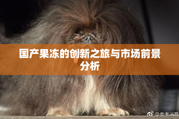 国产果冻的创新之旅与市场前景分析