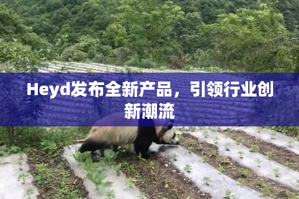 Heyd发布全新产品，引领行业创新潮流