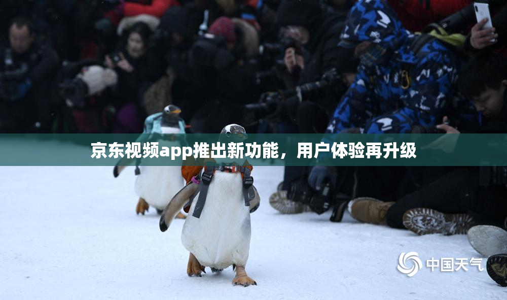 京东视频app推出新功能，用户体验再升级
