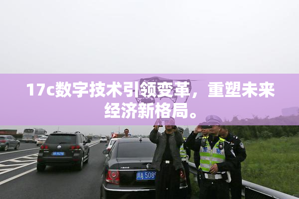 17c数字技术引领变革，重塑未来经济新格局。