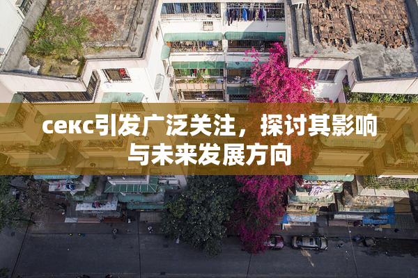 ceкс引发广泛关注，探讨其影响与未来发展方向