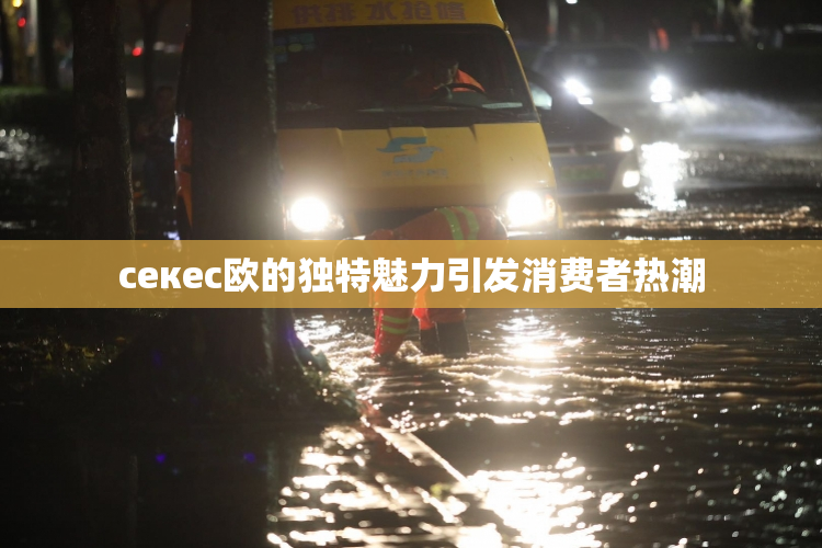 ceкес欧的独特魅力引发消费者热潮