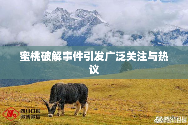 蜜桃破解事件引发广泛关注与热议