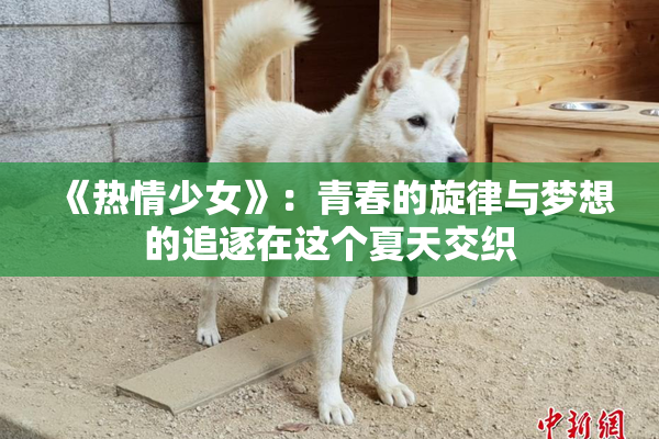 《热情少女》：青春的旋律与梦想的追逐在这个夏天交织