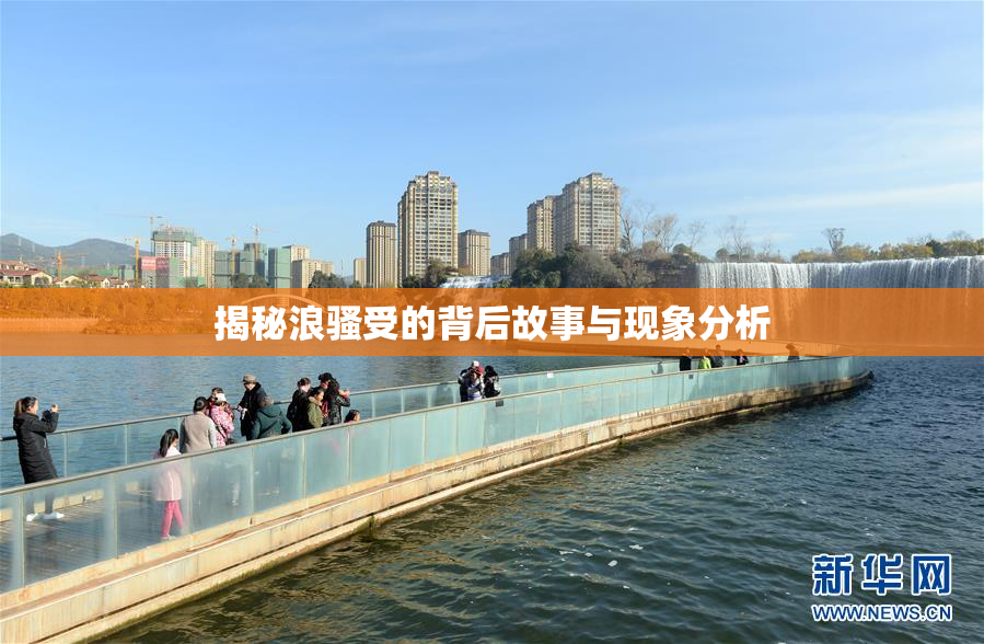 揭秘浪骚受的背后故事与现象分析