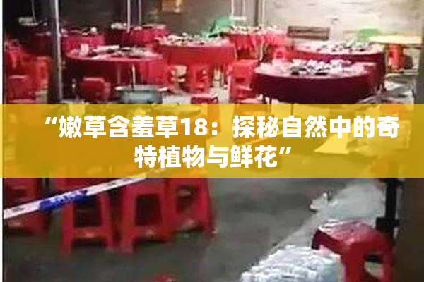 “嫩草含羞草18：探秘自然中的奇特植物与鲜花”