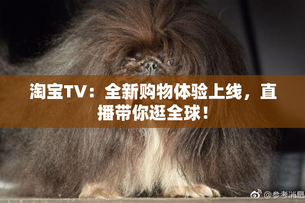 淘宝TV：全新购物体验上线，直播带你逛全球！