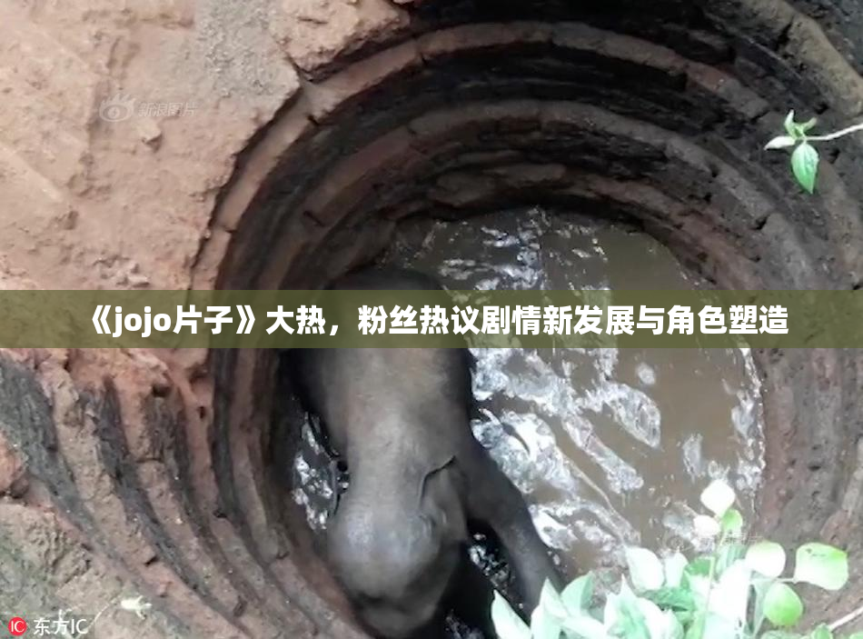 《jojo片子》大热，粉丝热议剧情新发展与角色塑造