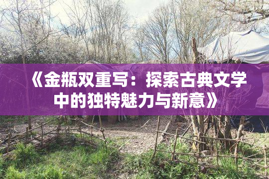《金瓶双重写：探索古典文学中的独特魅力与新意》
