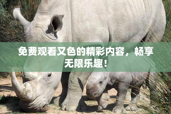 免费观看又色的精彩内容，畅享无限乐趣！