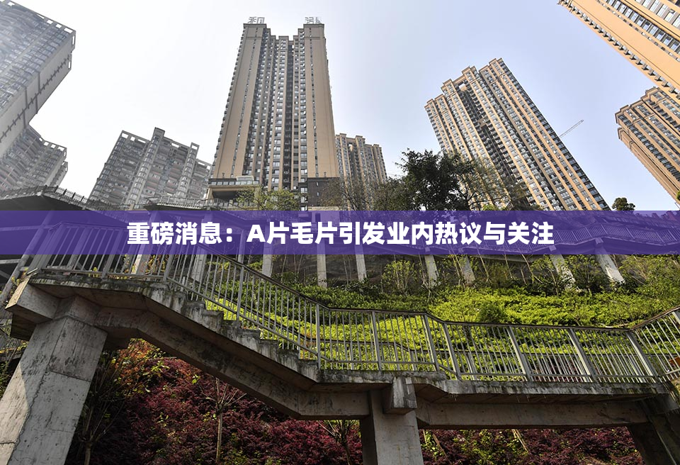 重磅消息：A片毛片引发业内热议与关注
