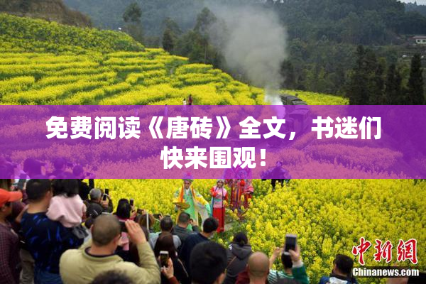 免费阅读《唐砖》全文，书迷们快来围观！