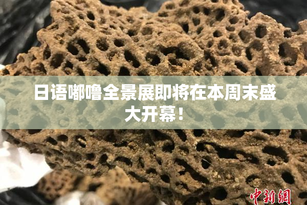 日语嘟噜全景展即将在本周末盛大开幕！