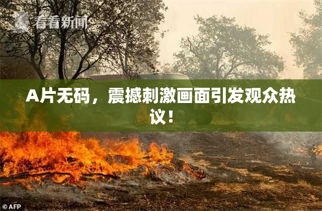 A片无码，震撼刺激画面引发观众热议！