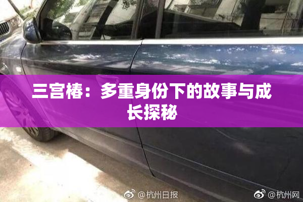 三宫椿：多重身份下的故事与成长探秘